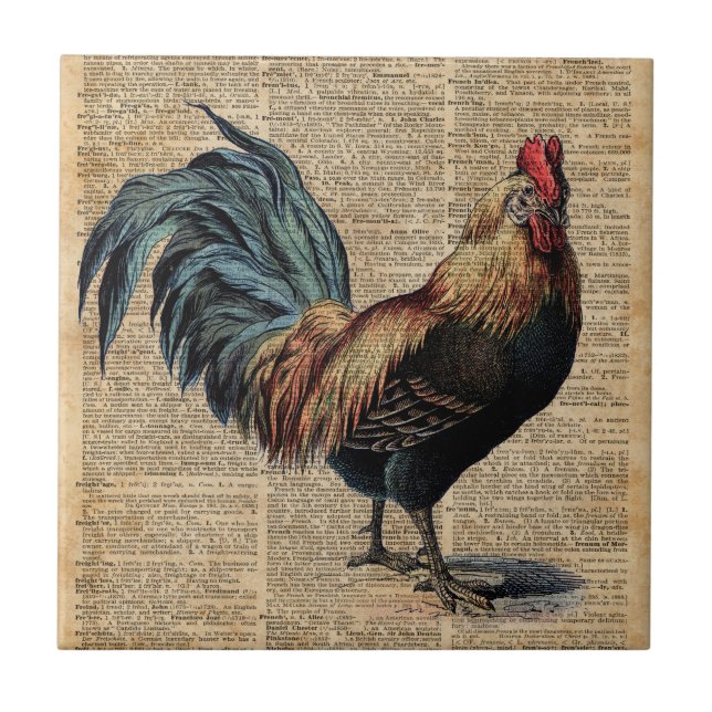 Cottage Rooster Vintage Dictionary Book Page Tile (Front)