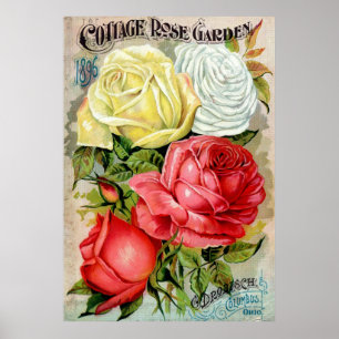 Cottage Rose Garden Advertisemen Poster