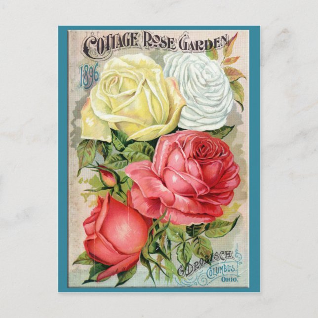 Cottage Rose Garden Postcard (Front)