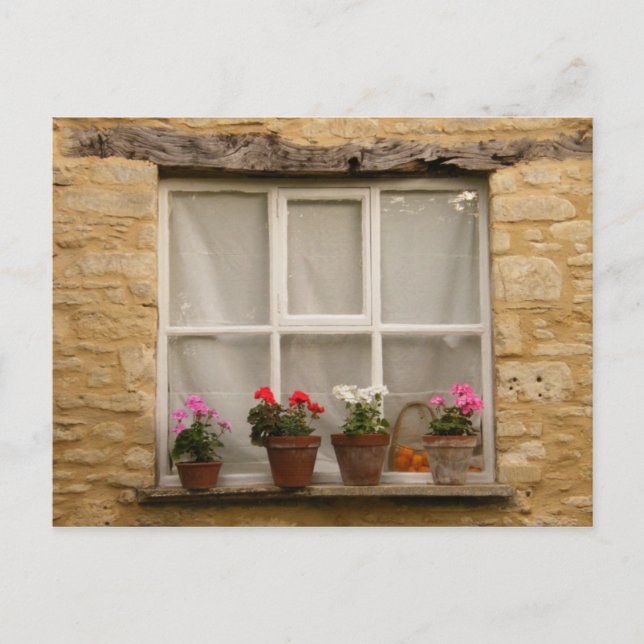 "Cottage Window" Postcard (Front)