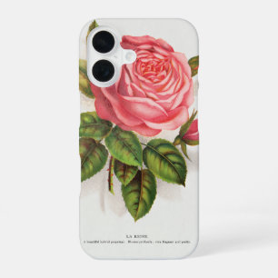 Cottagecore Antique Pink Rose Floral Illustration iPhone 16 Case