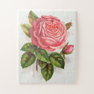 Cottagecore Antique Pink Rose Floral Illustration Jigsaw Puzzle
