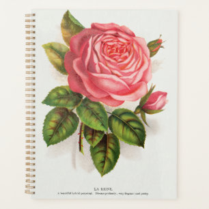 Cottagecore Antique Pink Rose Floral Illustration Planner