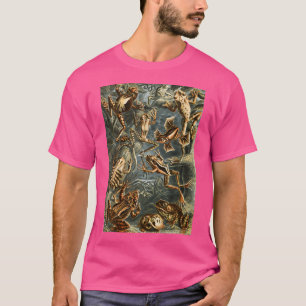 Cottagecore Dark Academia Aesthetic Frog Print T-Shirt