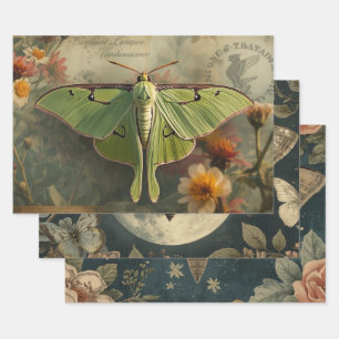 Cottagecore Moon Moth Gothic Moon Moth Nocturne Wrapping Paper Sheet