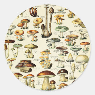 Cottagecore Mushrooms Vintage Naturalist Classic Round Sticker