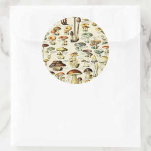 Cottagecore Mushrooms Vintage Naturalist Classic Round Sticker