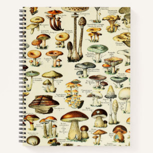 Cottagecore Mushrooms Vintage Naturalist Notebook