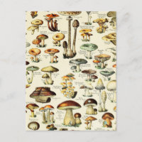 Cottagecore Mushrooms Vintage Naturalist