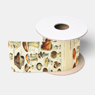 Cottagecore Mushrooms Vintage Naturalist Satin Ribbon