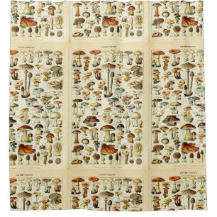 Cottagecore Mushrooms Vintage Naturalist Shower Curtain
