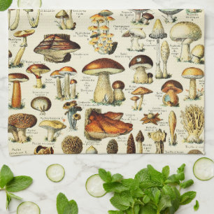 Cottagecore Mushrooms Vintage Naturalist Tea Towel