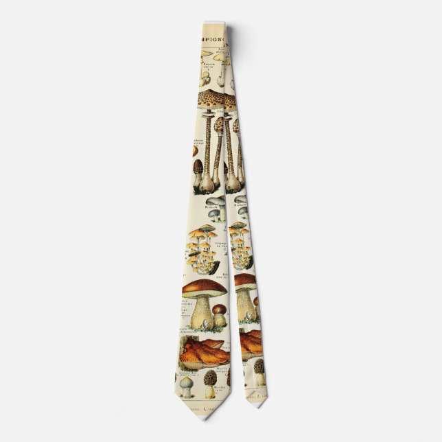 Cottagecore Mushrooms Vintage Naturalist Tie (Front)