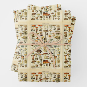 Cottagecore Mushrooms Vintage Naturalist Wrapping Paper Sheet