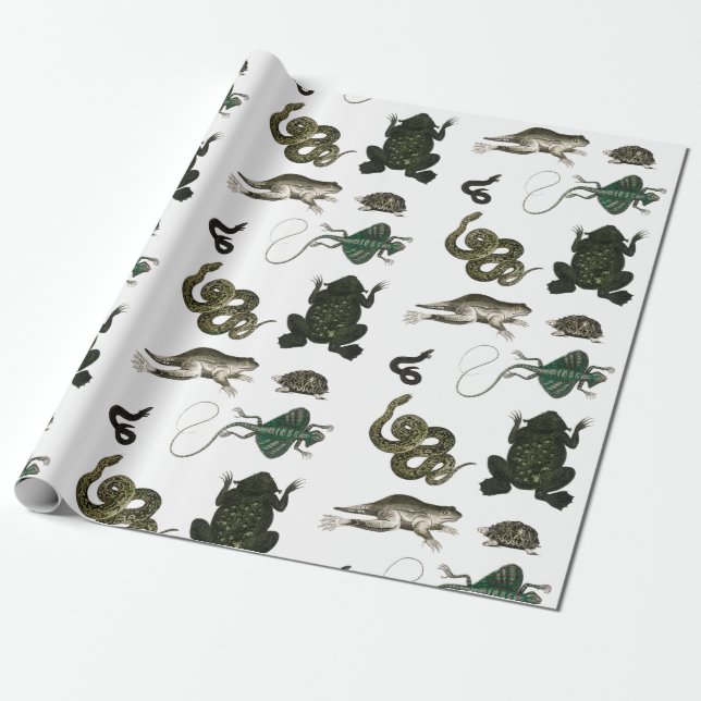 Cottagecore Toad Wrapping Paper (Unrolled)