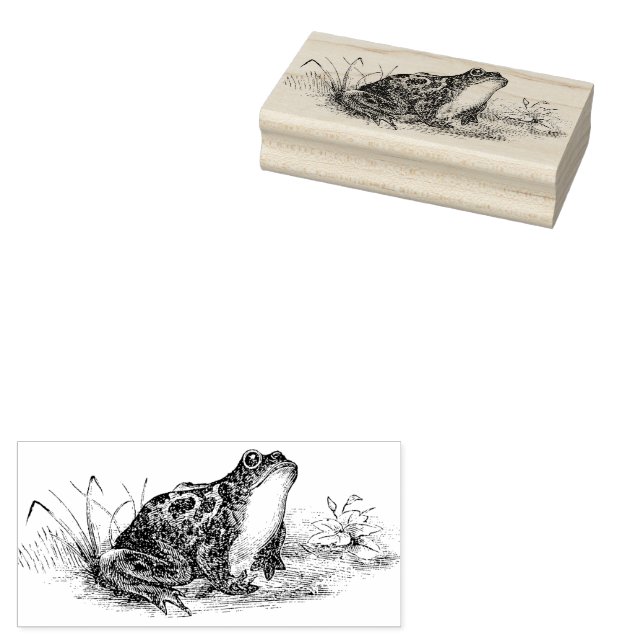 Cottagecore Vintage Frog Rubber Stamp (Stamped)
