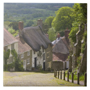 Cottages at Gold Hill, Shaftesbury, Dorset, Tile
