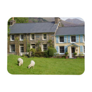 Cottages, Beddgelert, Gwynedd, Wales Magnet