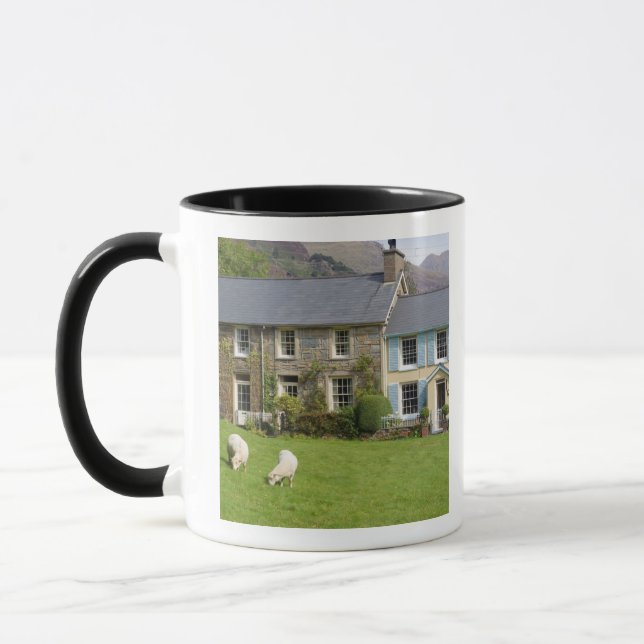 Cottages, Beddgelert, Gwynedd, Wales Mug (Left)