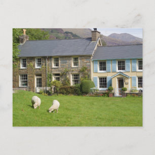 Cottages, Beddgelert, Gwynedd, Wales Postcard