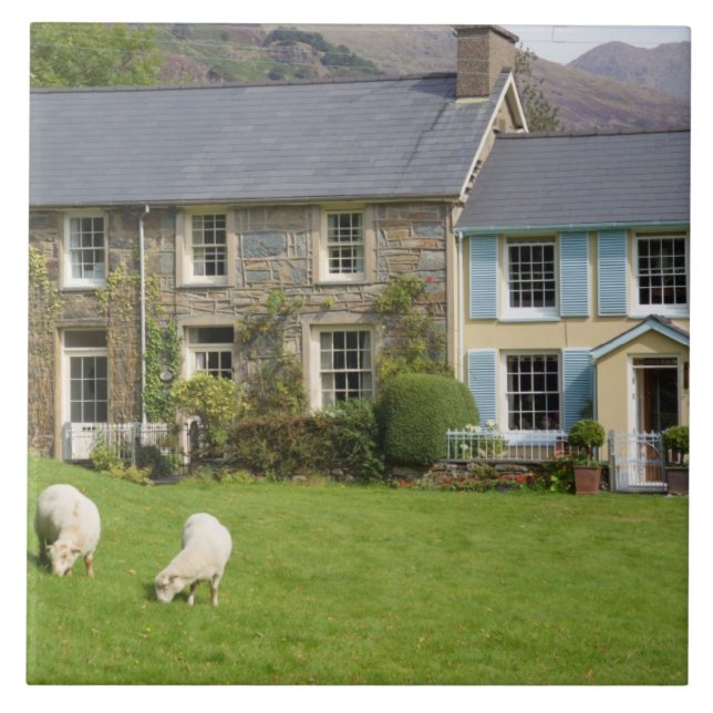 Cottages, Beddgelert, Gwynedd, Wales Tile (Front)