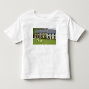 Cottages, Beddgelert, Gwynedd, Wales Toddler T-Shirt