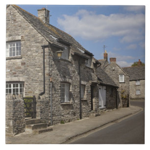 Cottages, Corfe Castle village, Dorset, England, Tile