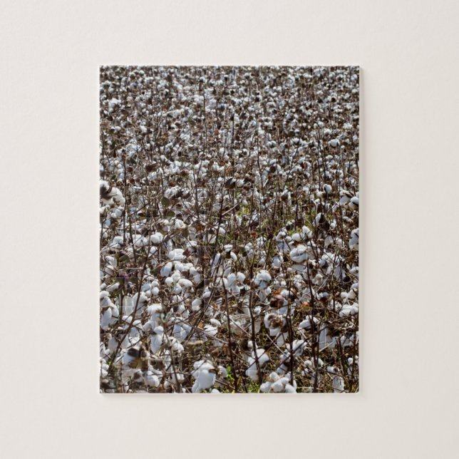 Cotton Crops Field Jigsaw Puzzle (Vertical)