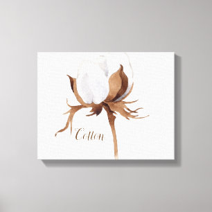Cotton Flower Watercolor Canvas Print