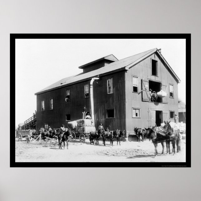 Cotton Gin in Dahomey, MS 1898 Poster (Front)