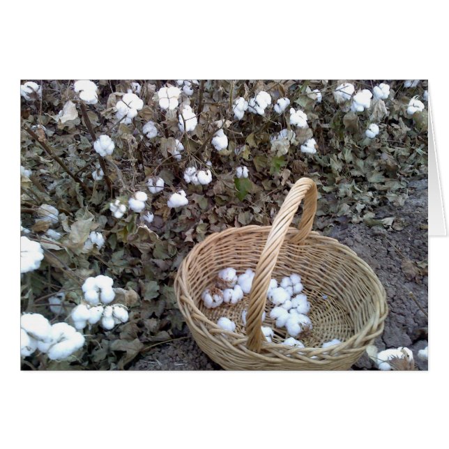 Cotton Pickin' Basket (Front Horizontal)