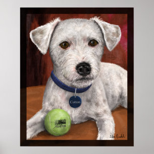 Cotton Poster