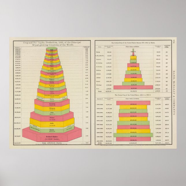 Cotton Production Poster (Front)