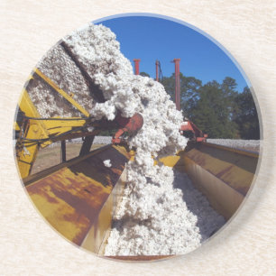 Cotton Series--1 of 9--Load Dumped From Boll Buggy Coaster
