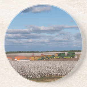 Cotton Series--Harvesting a cotton field Coaster