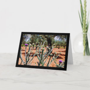 Cotton Thistle in Olive Grove Card
