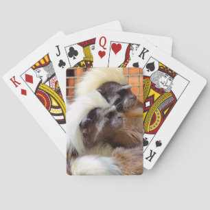 COTTON -TOP TAMARIN MONKEYS PLAYING CARDS