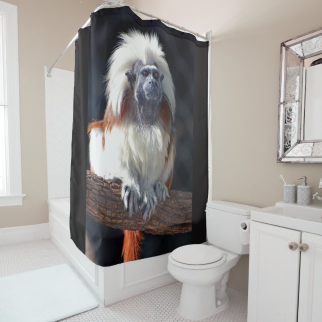 Cotton Top Tamarin  Shower Curtain (In Situ)