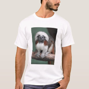 Cotton-top Tamarin T-Shirt