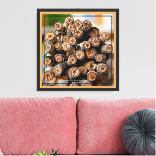 Cotton Wood Stars Along the Rio Grande Canvas Print