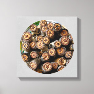 COTTON WOOD STARS ALONG THE RIO GRANDE CANVAS PRINT