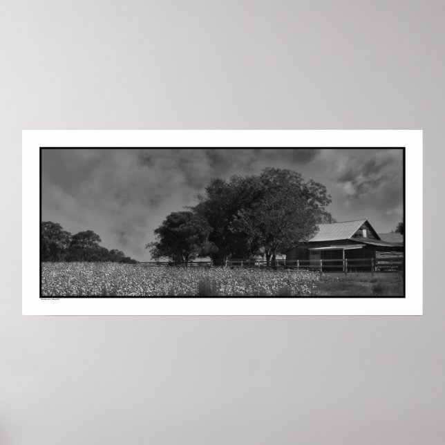 Cottonfield & Barn Poster Print (Front)