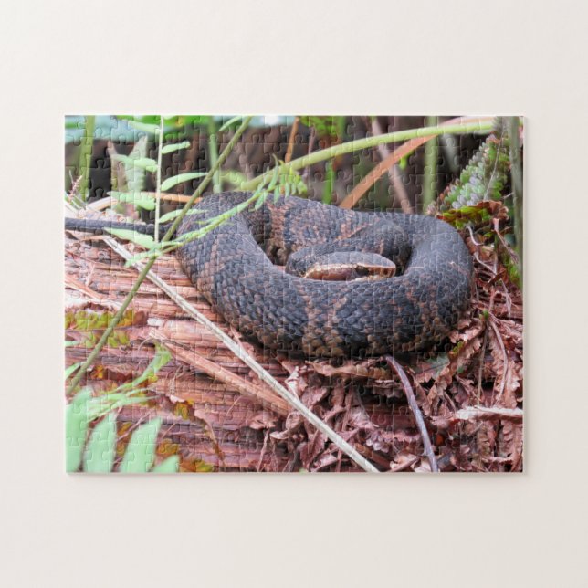 Cottonmouth Snake Puzzle (Horizontal)