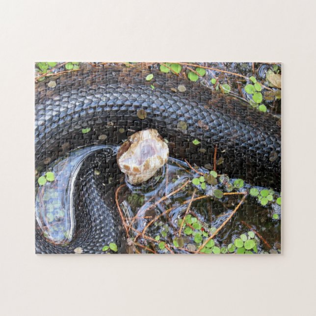 Cottonmouth Snake Puzzle (Horizontal)