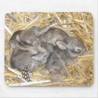 Cottontail Bunnies Mouse Mat