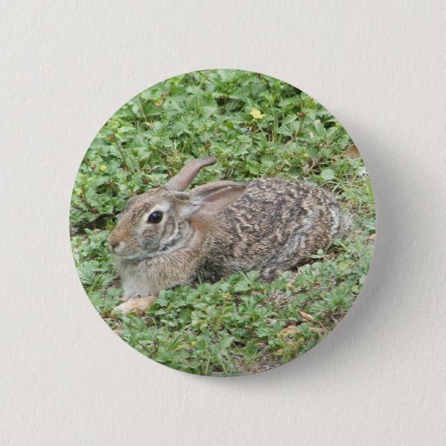 Cottontail rabbit 6 cm round badge (Front)