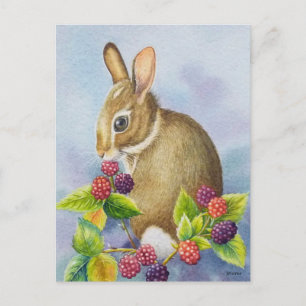 Cottontail Rabbit and Blackberries Watercolor Art Postcard