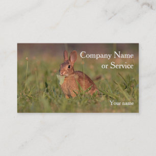 Cottontail rabbit business card