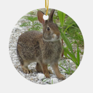 Cottontail Rabbit Ceramic Tree Decoration