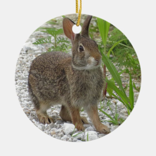 Cottontail Rabbit Ceramic Tree Decoration (Front)